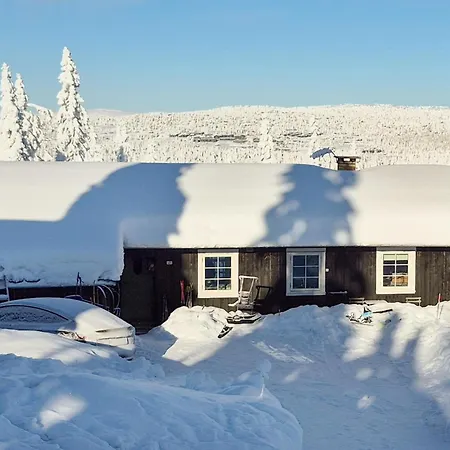 2 Bedroom Cozy In Sjusjoen